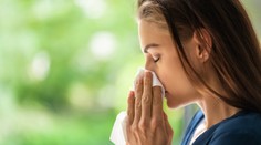 Pylová sezona se rozjela naplno. Alergici nejsou v bezpečí ani doma