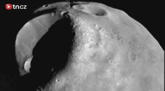NASA chce poslat na Mars ježky
