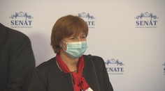 Hlavní hygienička stoná druhý týden. Pořád se neví, kde Covid-19 chytila