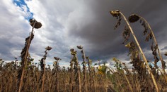 Českem se plíží tichá hrozba. Meteorologové bijí na poplach