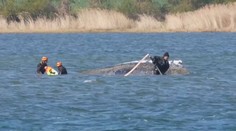 Záchranáři stále bojují o život Timmyho. Velrybu chtějí převézt do moře