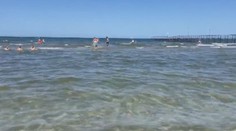 Lidé utíkali z pláže. Moře plné slizu zkazilo Čechům dovolenou v Rimini