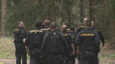 V lesích se ve velkém ztrácí houbaři! Experti radí, co v takovém případě dělat