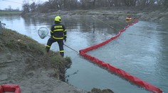 Za masivním úhynem ryb v Odře může být nedbalost. Vyšetřování pokračuje