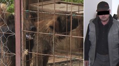 Otec hocha, kterého zakousli psi, u soudu vzlykal! Hrozí mu 6 let