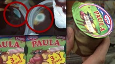 Dr. Oetker stahuje další PLESNIVÉ PUDINKY PAULA