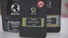 Sněmovnou prošla nová pravidla pro nakládání s kratomem. Chránit mají hlavně děti