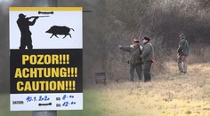 Myslivci stříleli na divočáky, učitelky s malými dětmi se procházely poblíž