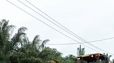Vesničané ulovili půltunového krokodýla, v tlamě našli překvapení