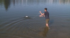Koupání v závadné vodě může být nebezpečné. Hygienici kontrolují její kvalitu