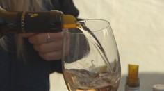 Oslavy svatého Martina vrcholí. Na své si přijdou gurmáni i milovníci vín
