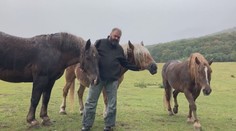 Milovanou kobylku někdo zastřelil kuší. Zdrcený majitel vypsal odměnu