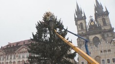 Staroměstské náměstí už má vánoční strom. Nazdobený musí být do pátku