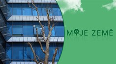 Stromy ve městech trpí. Jejich kořeny nemají pod zemí dostatek prostoru