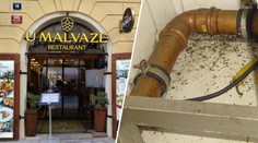 V Praze zavřeli oblíbenou restauraci. Inspekce tam odhalila vážné pochybení