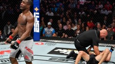 Knockout večera! Drtivá smršť pěstí ukončila zápas Neala s Pricem