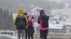 Na Štědrý den vynechte návštěvu lesa a sundejte nohu z plynu, radí Honsová