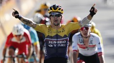 Favorit Roglič opanoval čtvrtou etapu, žlutý dres stále drží Alaphilippe