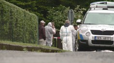Rodiče si vzali syna z léčebny domů, zabil je sekerou