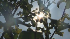 Česko má za sebou výjimečně teplý den. Příjemné teploty ale dlouho nevydrží