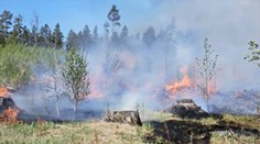 Požáry řádí po celém Česku. Na Pelhřimovsku hořel les, na Táborsku pila