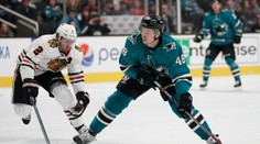 Hertl potvrzuje fantastickou formu! Skóroval proti Chicagu a slavil