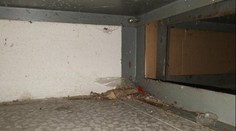 Inspekce zavřela sklad Hrušky ve Znojmě. Našla tam trus i mrtvého hlodavce