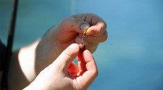Zákaz střeliva či olůvek na udice? Vláda se dohodla s myslivci i rybáři