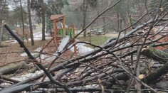 Vichr a sněhová kalamita zničily slovenskou zoo. Nedá se to ani popsat, říká ředitel