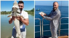 McGregor nahodil udici. "Čudla" má do úlovků Attily Végha pěkně daleko