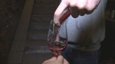Vědci z Brna vyvinuli unikátní metodu. Rozpozná snadno původ i kvalitu vína