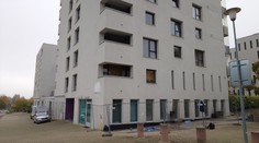 Brutální vražda v Plzni: Motiv si ani nejde představit, zcela se to vymyká, říká znalec