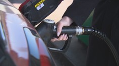 Cena nafty překročila hranici 50 korun za litr. Ještě nezakročíme, vzkazuje vláda