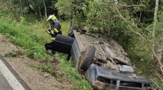 Auto s dětmi skončilo na střeše. Při zásahu záchranáře napadly rozzuřené vosy