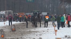 VIDEO: Koně na závodech majitelé zbili a zkopali! Diváci křičeli zlostí