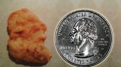 To je kšeft! Žena prodala tři roky starý nuget z McDonaldu za 152 tisíc