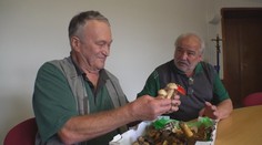 Prodávat jídlo z hub sebraných v lese není jen tak. Je třeba osvědčení mykologa