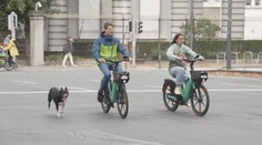 V Bruselu nesměla jezdit auta. Obyvatelé vyrazili do ulic na kole nebo MHD