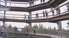 Vystoupení v korunách stromů. První umělec odstartoval letní sezónu koncertů