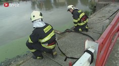 Do Dunaje unikly desetitisíce litrů nafty, ekosystém je ohrožen