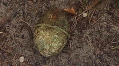 Ženu v Máchově jezeře zaujala lesklá věc, z vody vytáhla útočný granát!