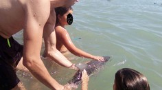 K delfínkovi se seběhly stovky lidí. Fotily si ho tak dlouho, než zemřel