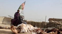 Tálibán zaútočil na afghánskou misi OSN, jeden mrtvý a dva zranění