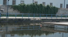 Stezka podél Slepého ramene v Českých Budějovicích se uzavře. Hrozí tam pád stěny