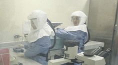 Vše o smrtícím viru EBOLA: Jak se přenáší, jaké jsou příznaky?
