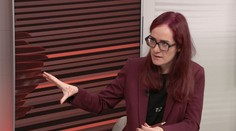 Kvůli vládě je Česko v Evropě na pranýři. Pro NATO nebude prioritou, vadí Gregorové