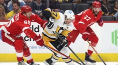 Čtyři vlčáci, jedno místo. Jaké jsou scénáře pro postup do play-off NHL?
