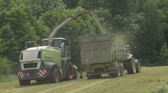 Zemědělci na tom nejsou dobře. Na řadě klíčových plodin farmáři prodělávají