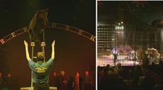 VIDEO: Patří zvířata do cirkusu nebo ne? HLASUJTE