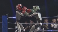 Roboti v posledních letech pokročili. Odehrál se jejich první turnaj v kickboxu